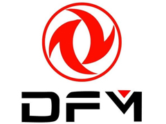 DFM